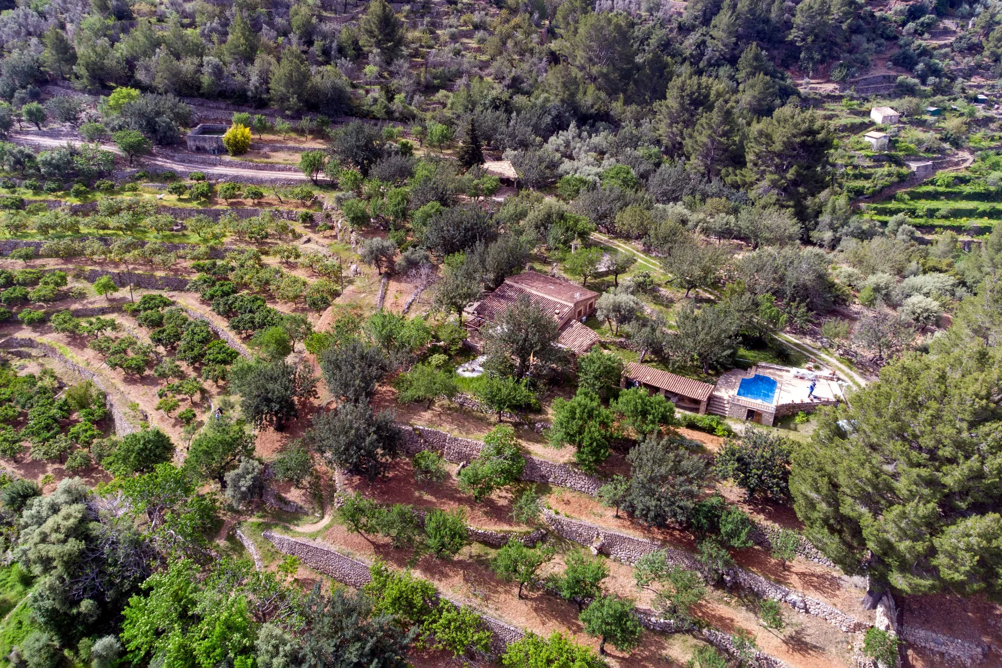 Traditional terraced landscapes and stone walls shaping the Sóller Valley